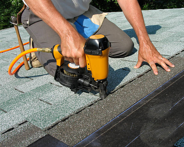 Best Roof Waterproofing Services  in Sheridan, IL